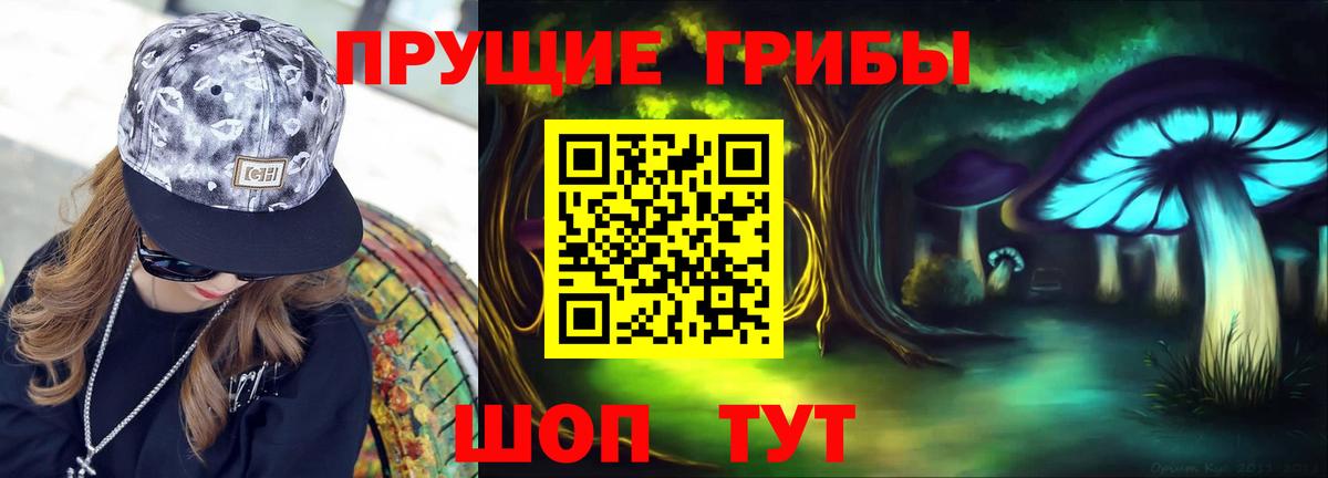 Псилоцибиновые грибы Psilocybine cubensis Карачаевск