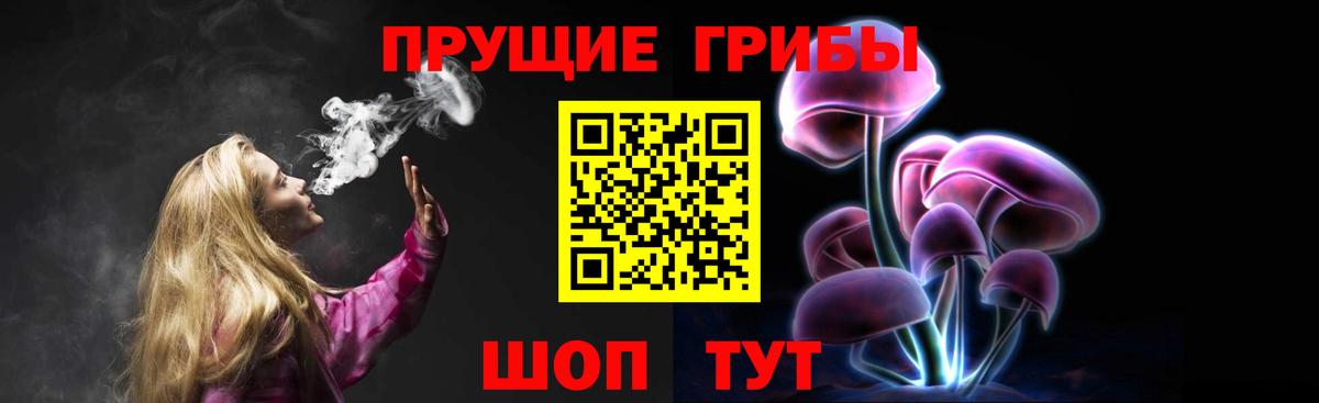 Галлюциногенные грибы Cubensis  Псилоцибиновые грибы мухоморы  Карачаевск  Вход с VPN 